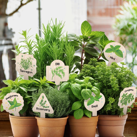 JUYRLE colorful herb name markers add visual interest to beds