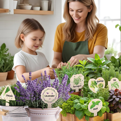 JUYRLE succulent and seedling labeling helps monitor growth