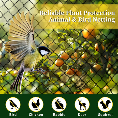Jvgoo bird netting over vegetable garden shields crops from pests.