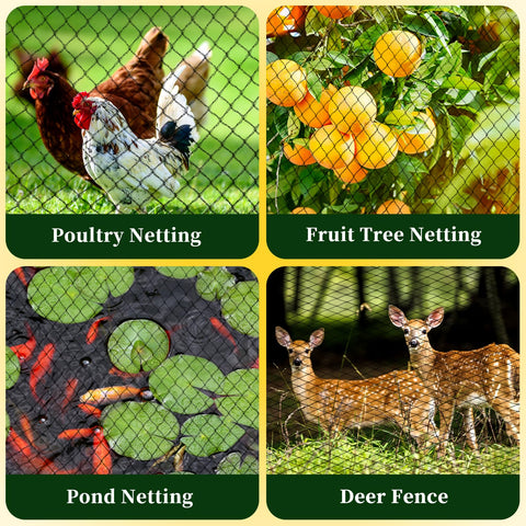 Jvgoo bird netting over blueberry bushes protects fruit from wildlife.