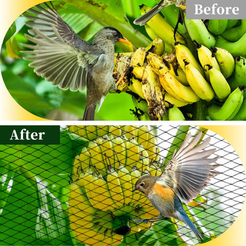 Jvgoo bird netting on koi pond blocks leaves and debris.