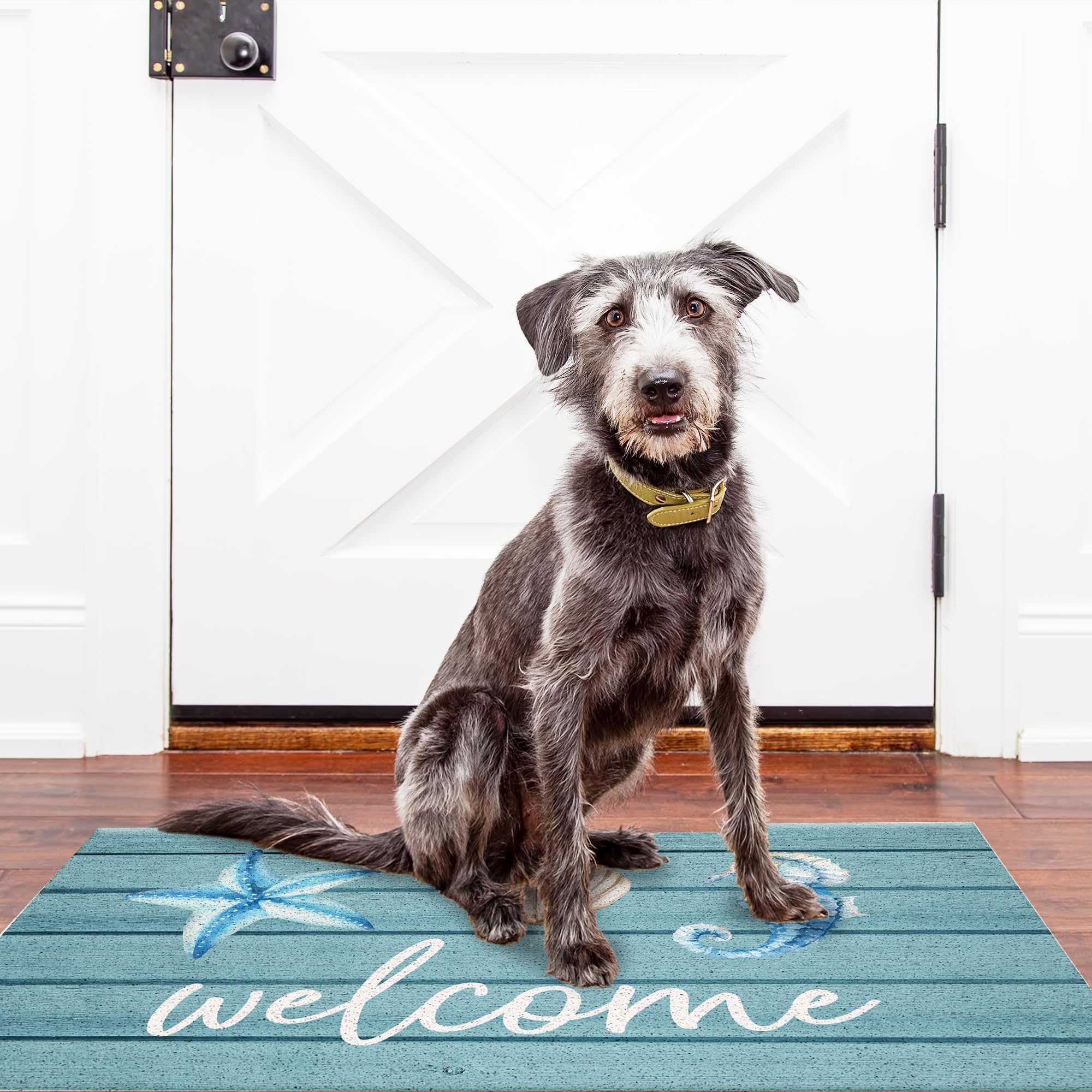 Jvpke Beach Welcome Mat seahorse illustration complements outdoor decor and floor cleanliness.