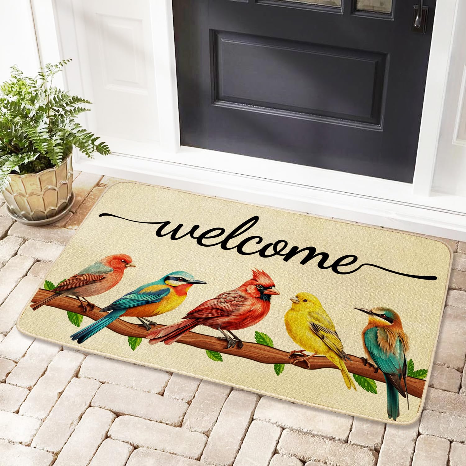 JWXCBIM low-profile 17x30 door mat fits most doors.
