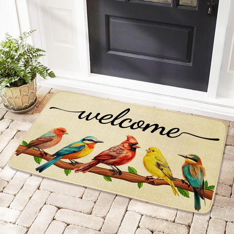 JWXCBIM low-profile 17x30 door mat fits most doors.