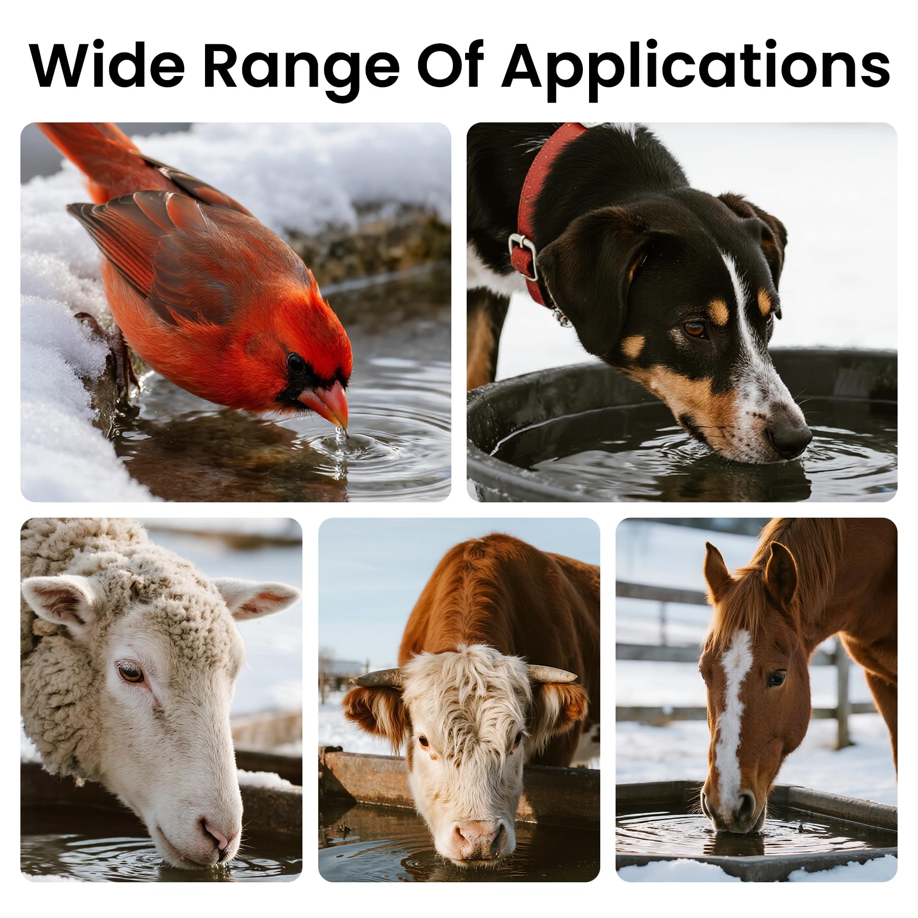 JXJHOVV de-icer used in bird bath or poultry water to keep water available.