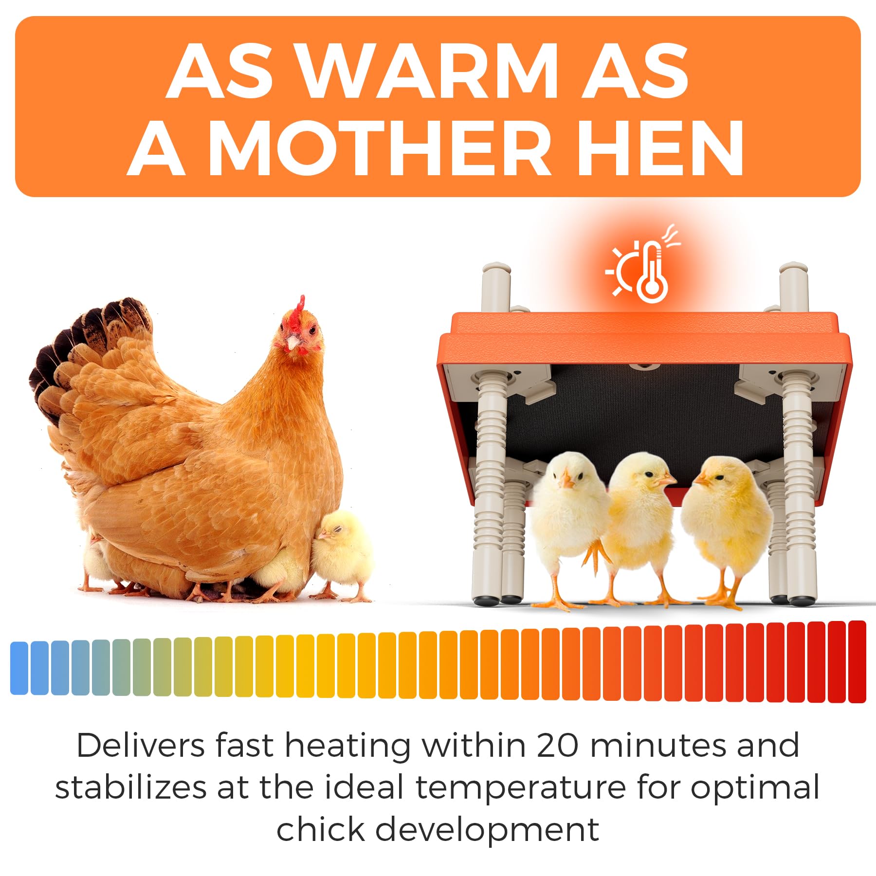 JXJHOVV Stepless height adjustment tailors warmth to growing chicks.