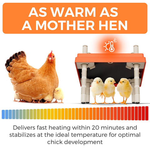 JXJHOVV Stepless height adjustment tailors warmth to growing chicks.