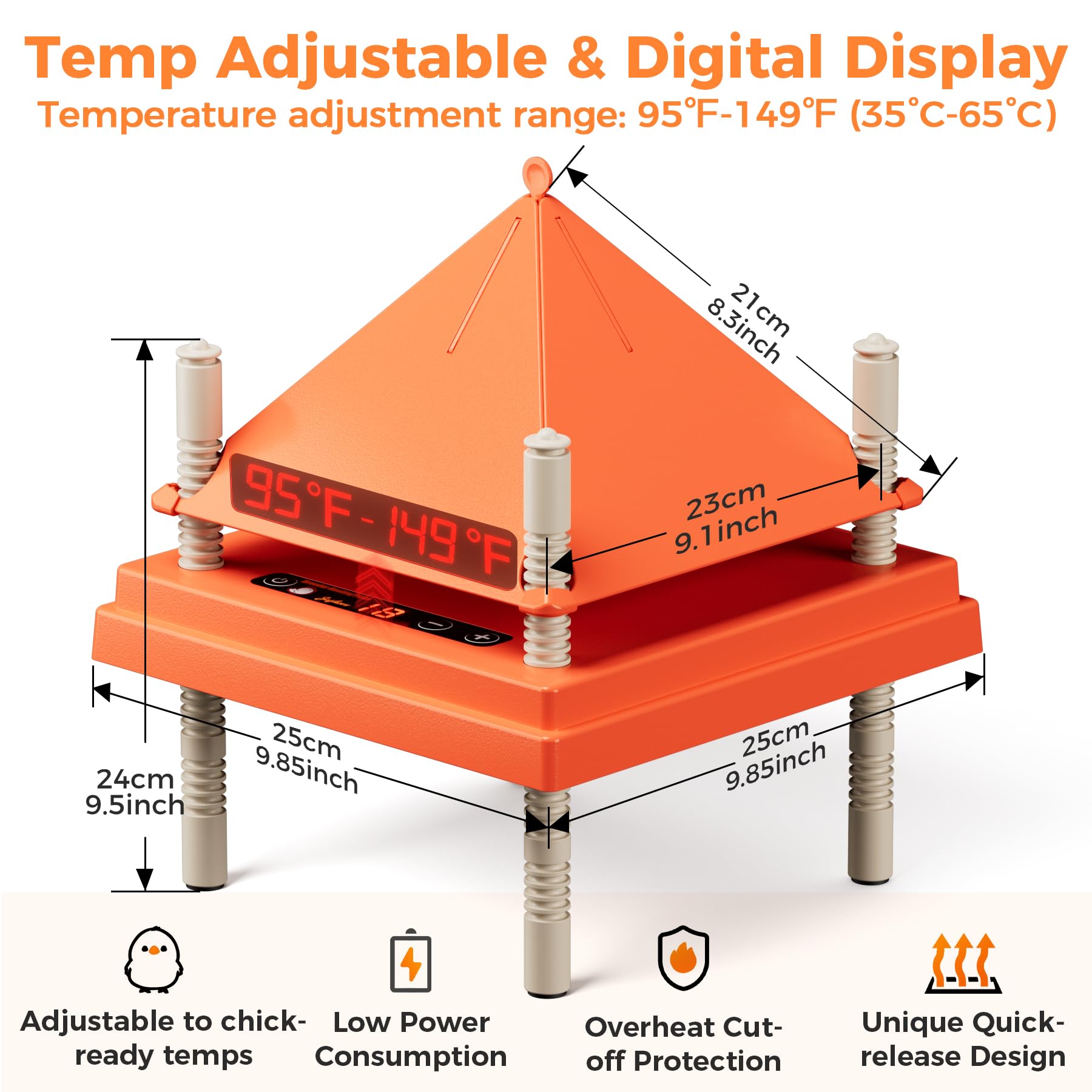 JXJHOVV anti-roosting cone prevents droppings, keeping the plate clean