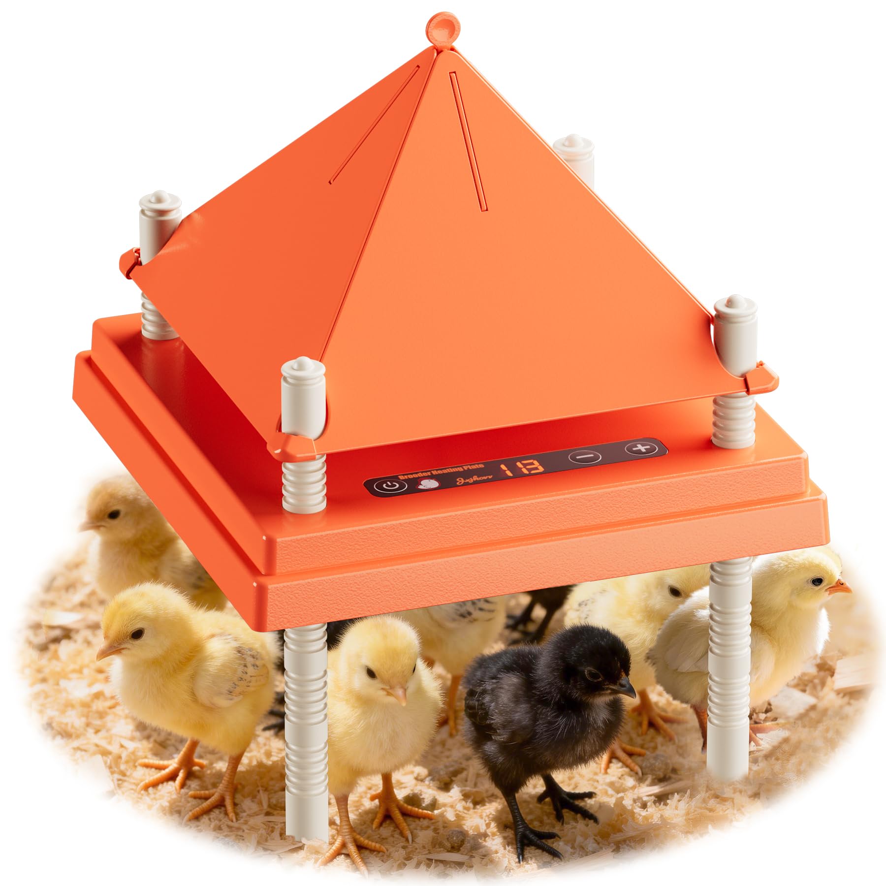 JXJHOVV brooder plate with digital display showing temperature for precise warmth