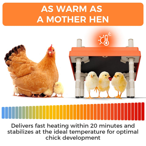JXJHOVV energy-efficient design lowers power use in brooders