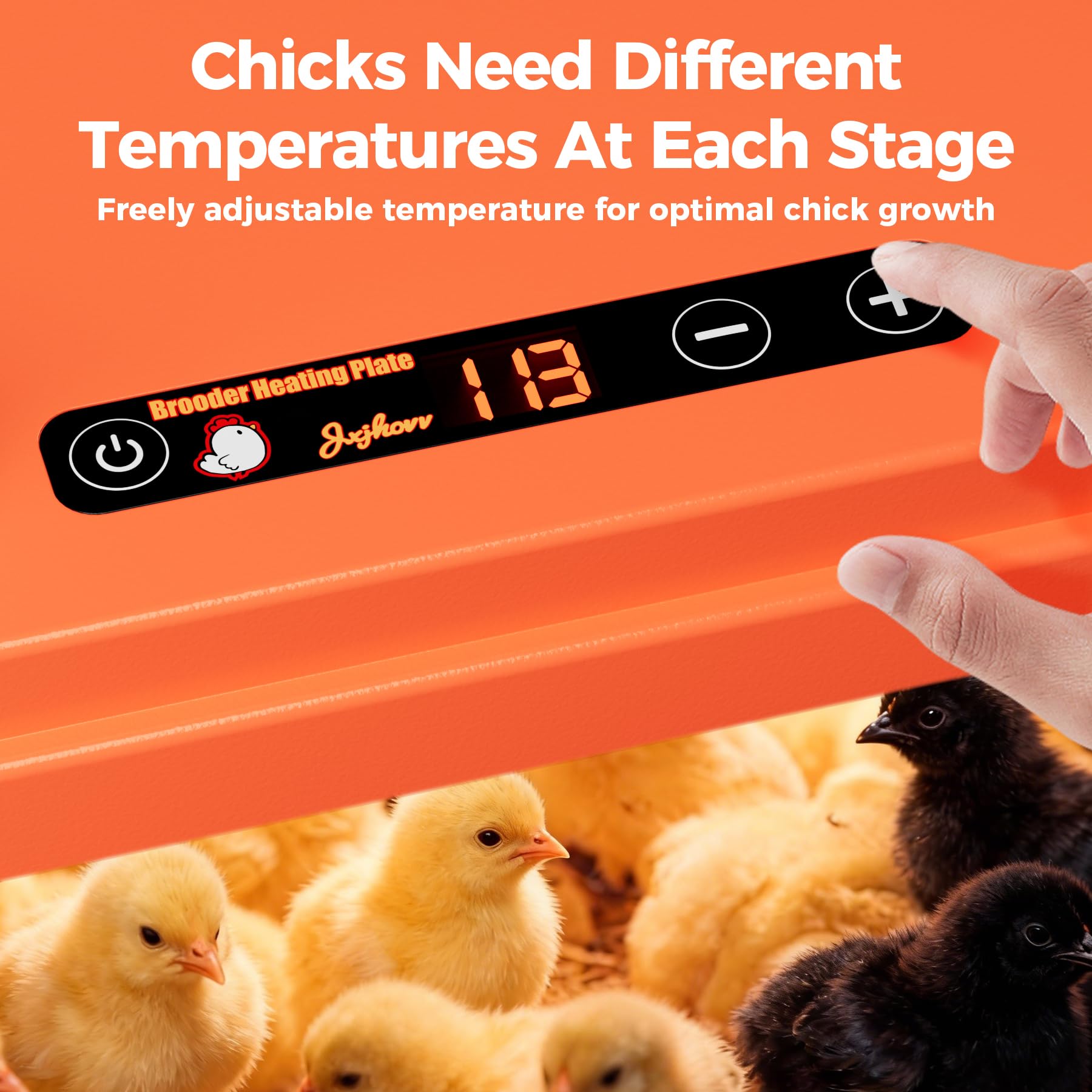 JXJHOVV stepless height adjustment adapts to growing chicks