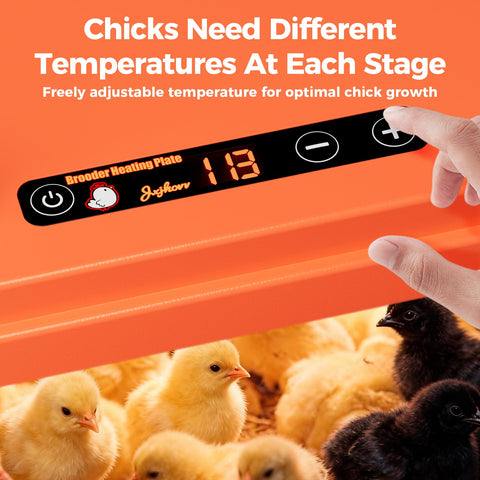 JXJHOVV stepless height adjustment adapts to growing chicks