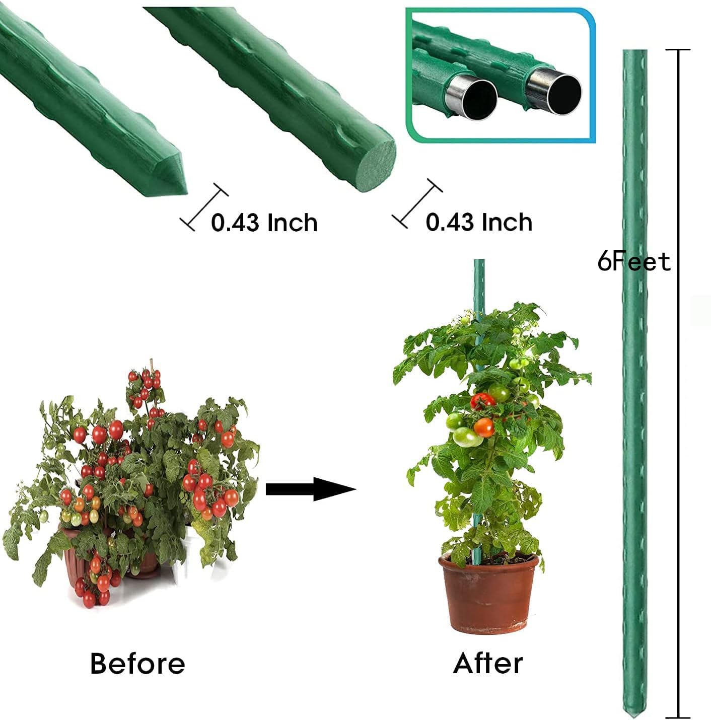Green plastic-coated stake provides weatherproof protection for outdoor vegetable gardens
