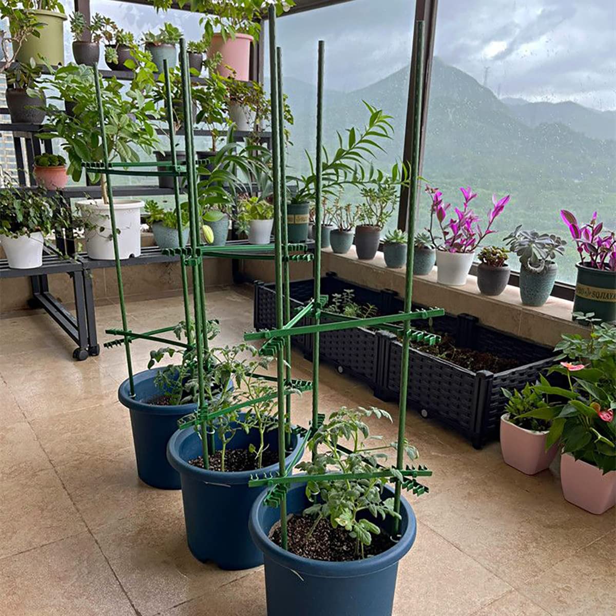 Jxrhy pack of 20 stakes provides ample staking for a small garden.