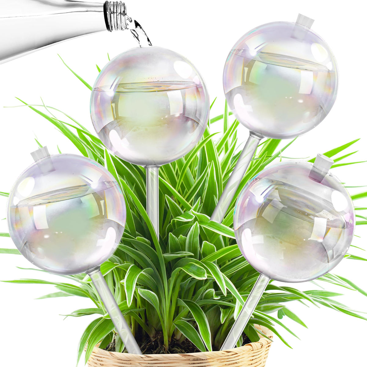 JXWENBYX 17oz glass watering globe provides steady moisture for potted plants.