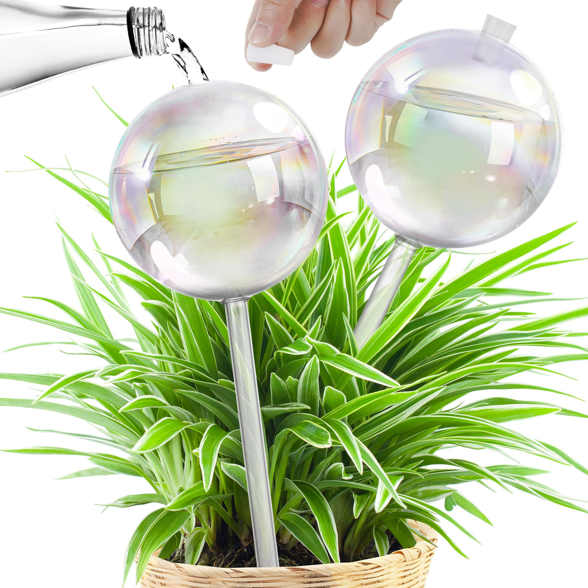 JXWENBYX 17oz iridescent glass watering globe for extended plant hydration
