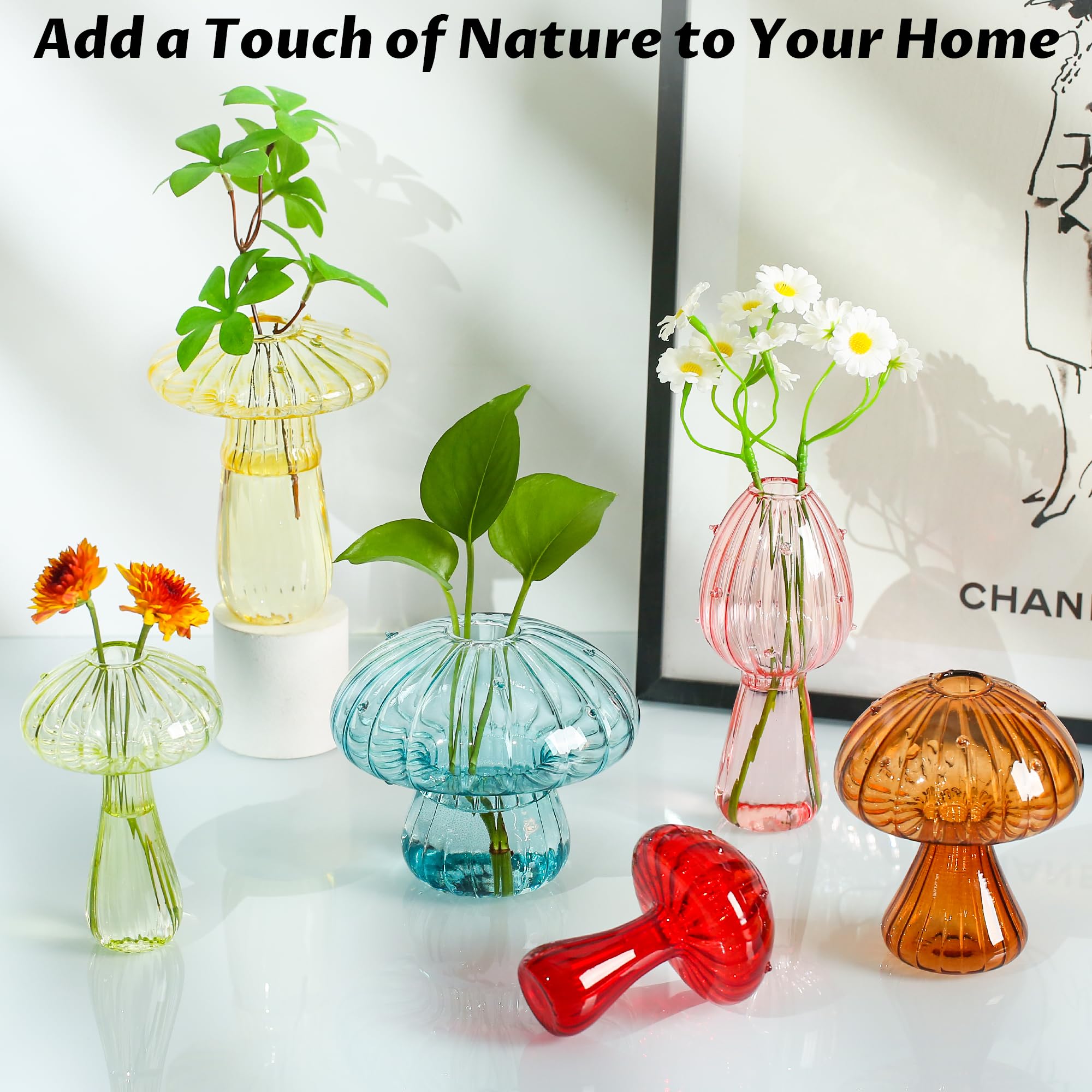 JXWENBYX plant growth display mushroom jar, perfect for windowsill herbs.