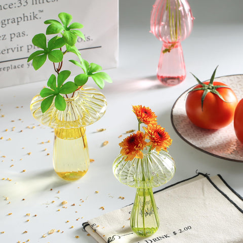 JXWENBYX clear display jar for hydroponics, sturdy design boosts stability.