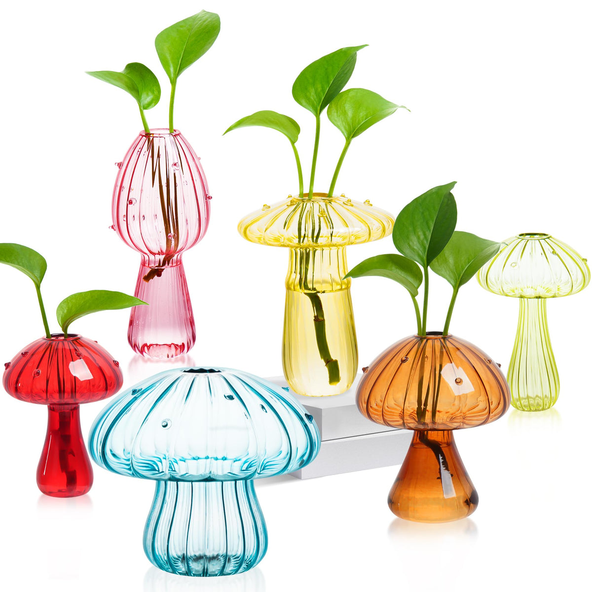 JXWENBYX colorful mushroom propagation station, a stylish desk decor for observing growth.