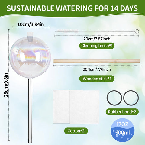 JXWENBYX self-watering globe inserted into soil for indoor moisture balance