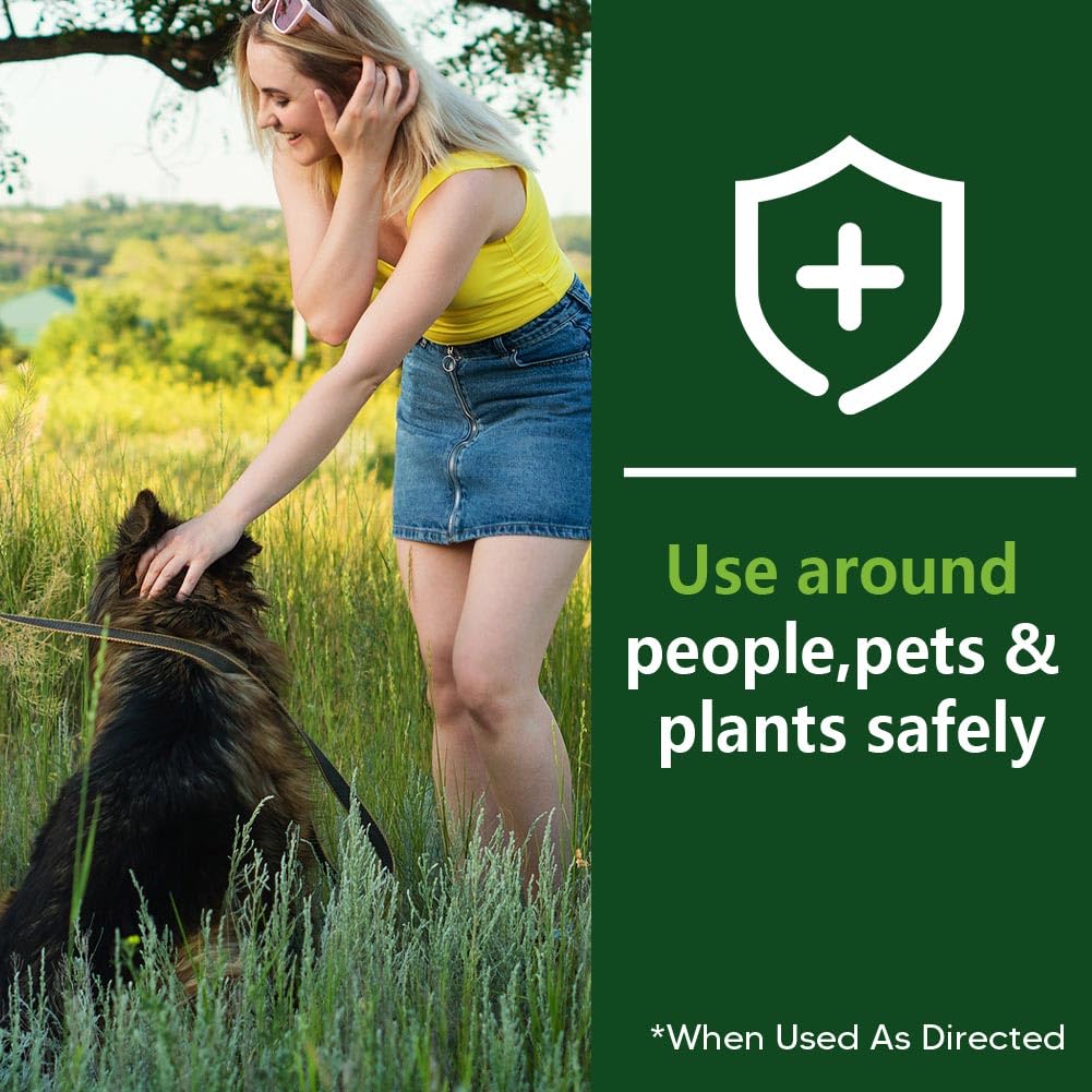 JYEVEWA Squirrel Repellent Near Bird Feeders — supports peaceful yard activity
