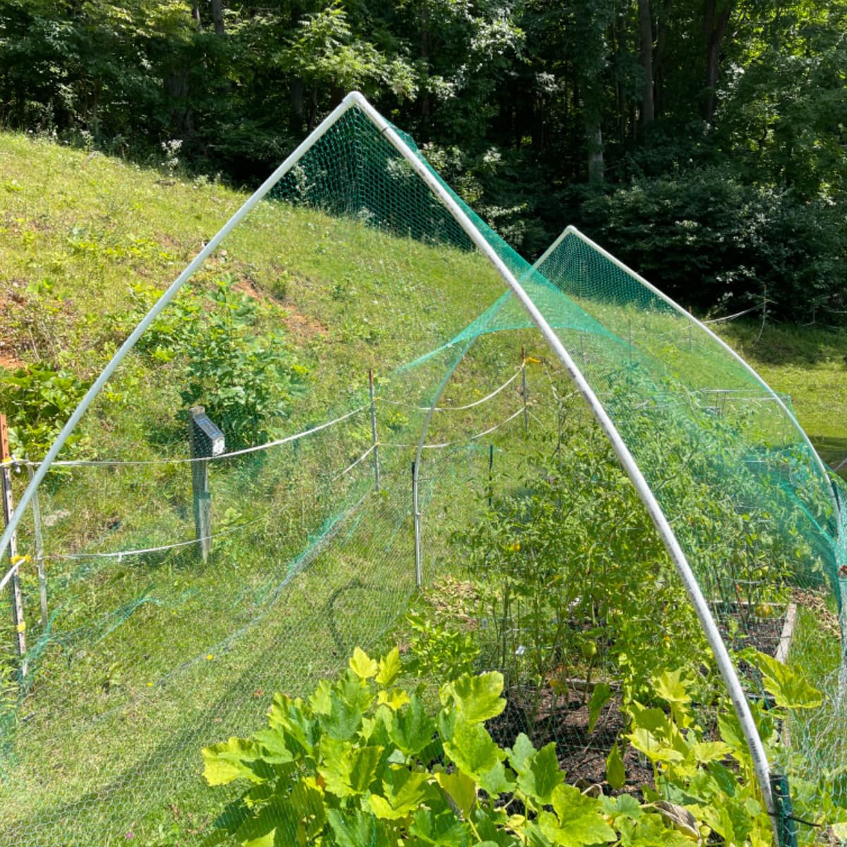 Included 20 plastic tacks with JZGEL bird netting for secure setup