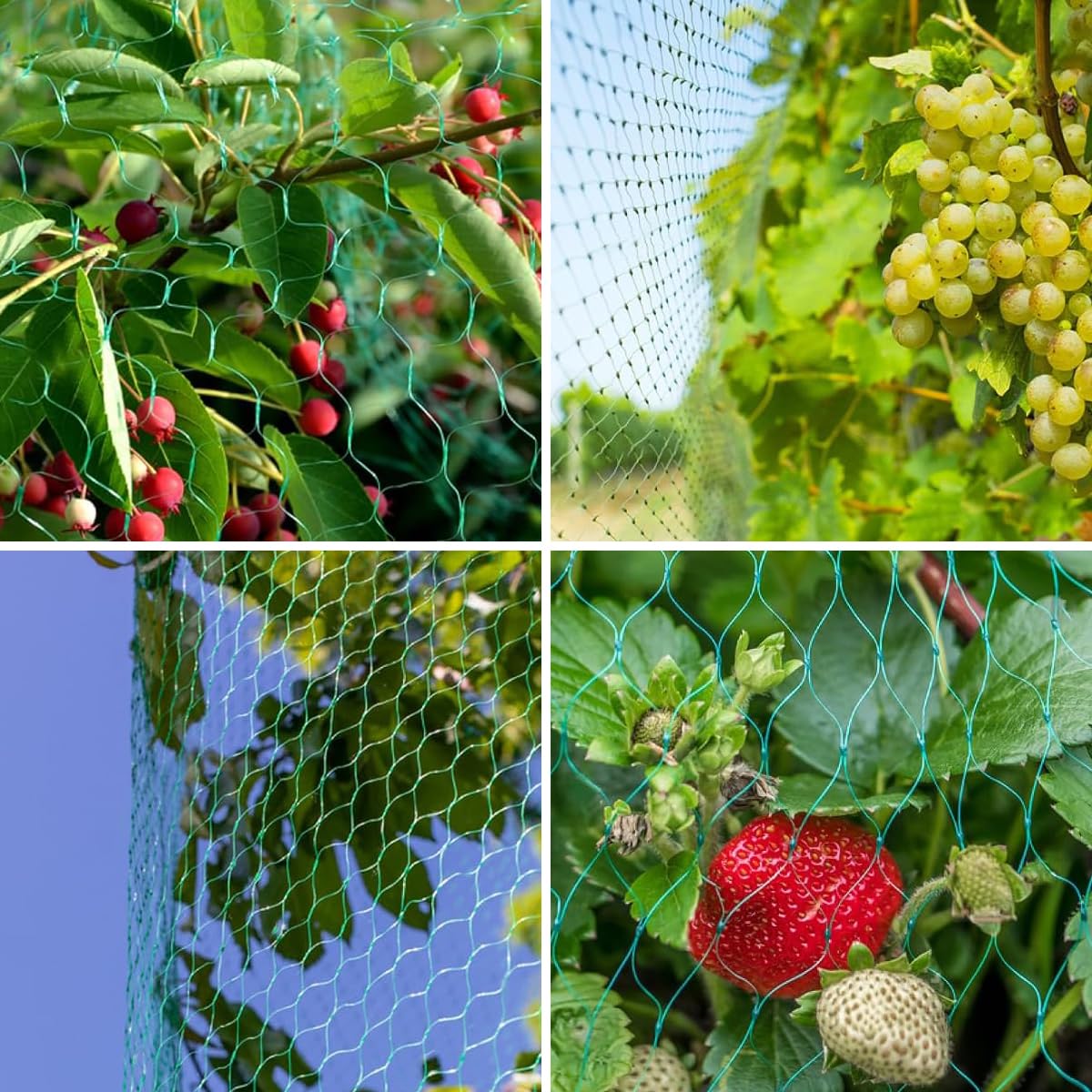 Installation example on a fruit tree using JZGEL netting
