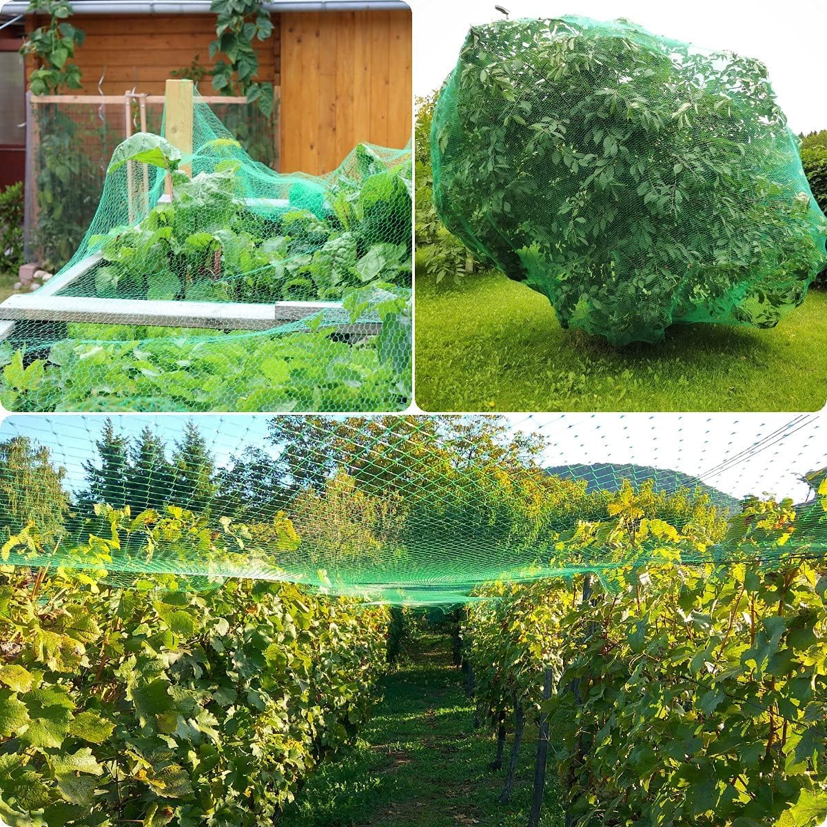 Green JZGEL netting allows sunlight and rain to reach plants