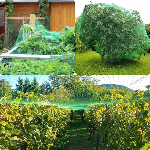 Green JZGEL netting allows sunlight and rain to reach plants