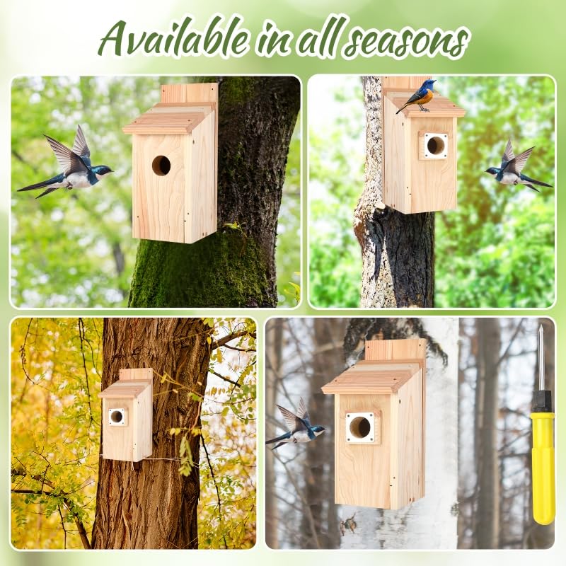 JZTKQTM four-pack of birdhouses for multiple yard nesting spots