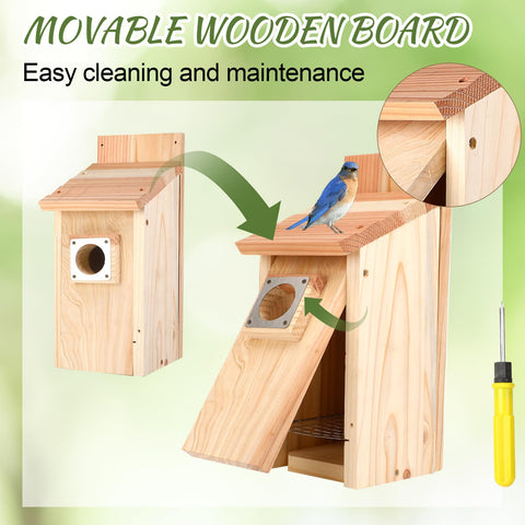 JZTKQTM cedar interior offers roomy nesting space for bluebirds and wrens