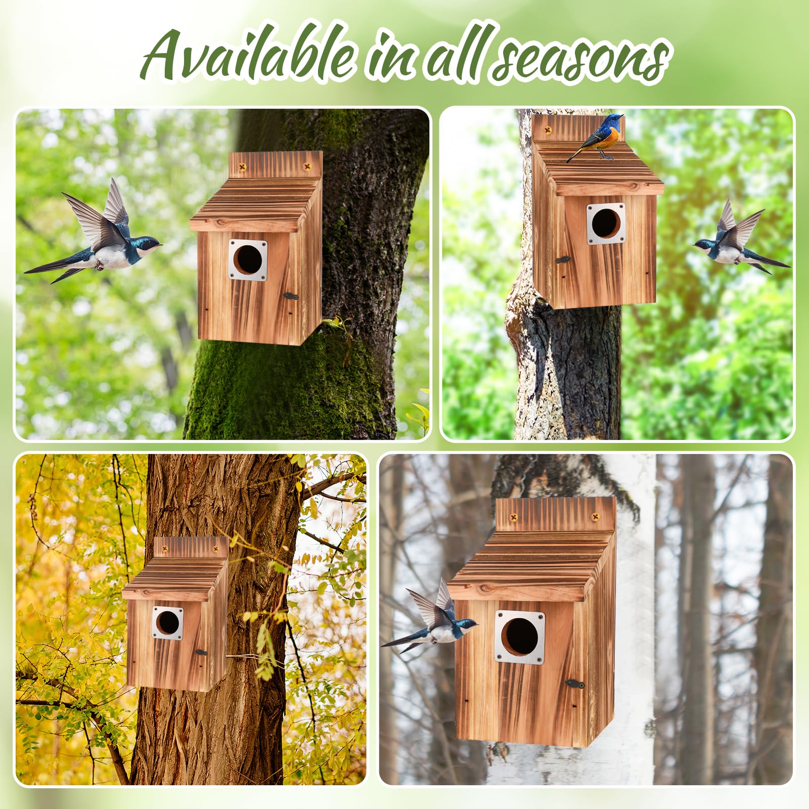 JZTKQTM year-round bird habitat with proper ventilation and flight slots.