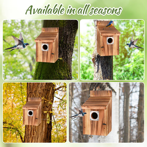 JZTKQTM year-round bird habitat with proper ventilation and flight slots.