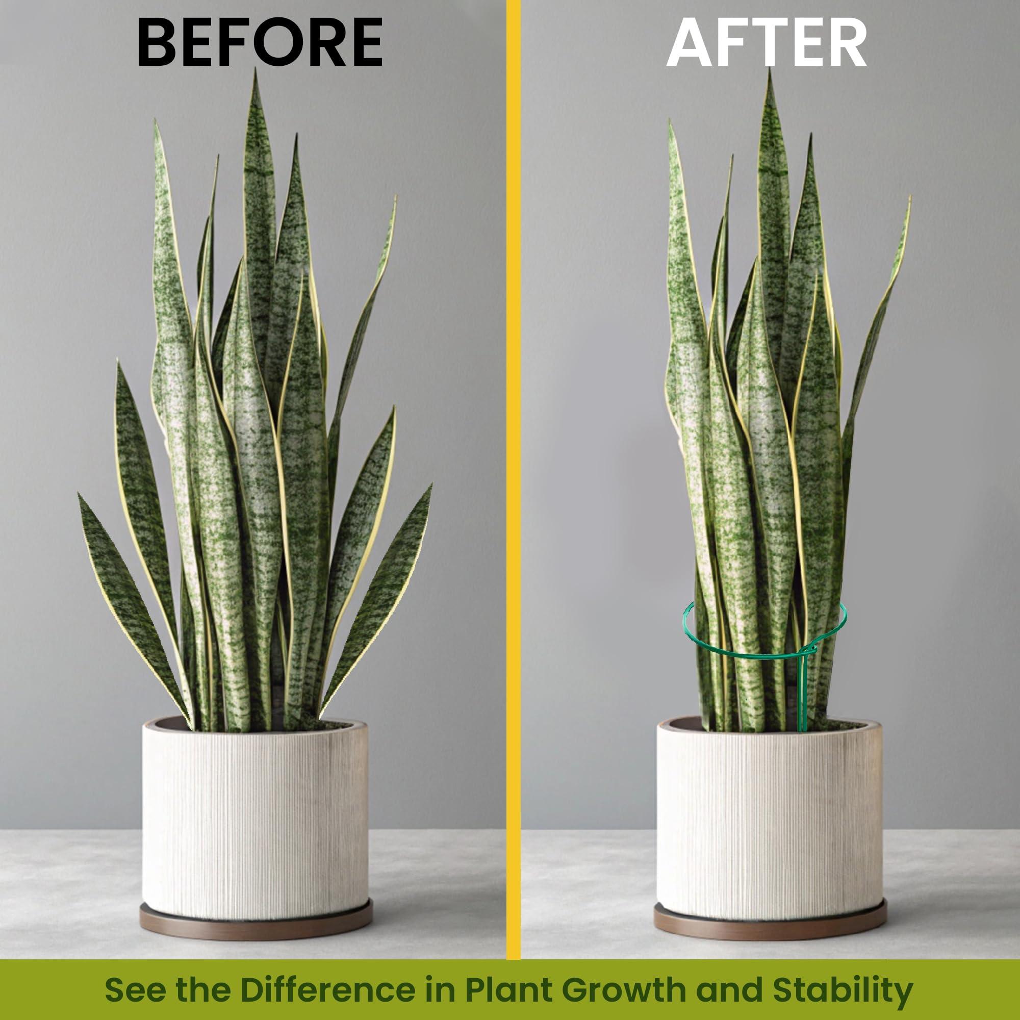 K-Brands 10 ft plant tie roll added for extra growth support.