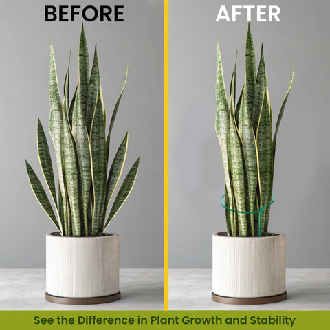 K-Brands 10 ft plant tie roll added for extra growth support.