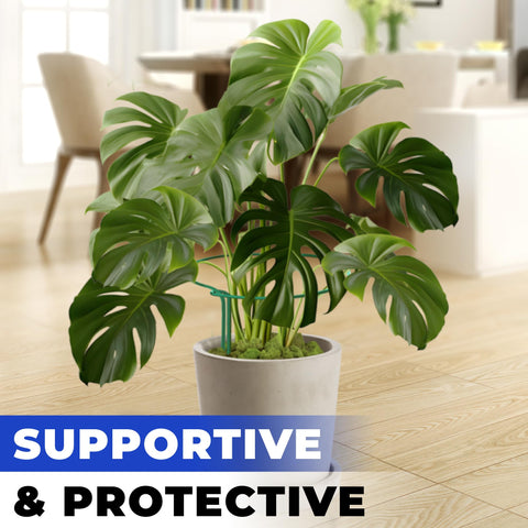 K-Brands 10ft plant tie roll simplifies securing stems