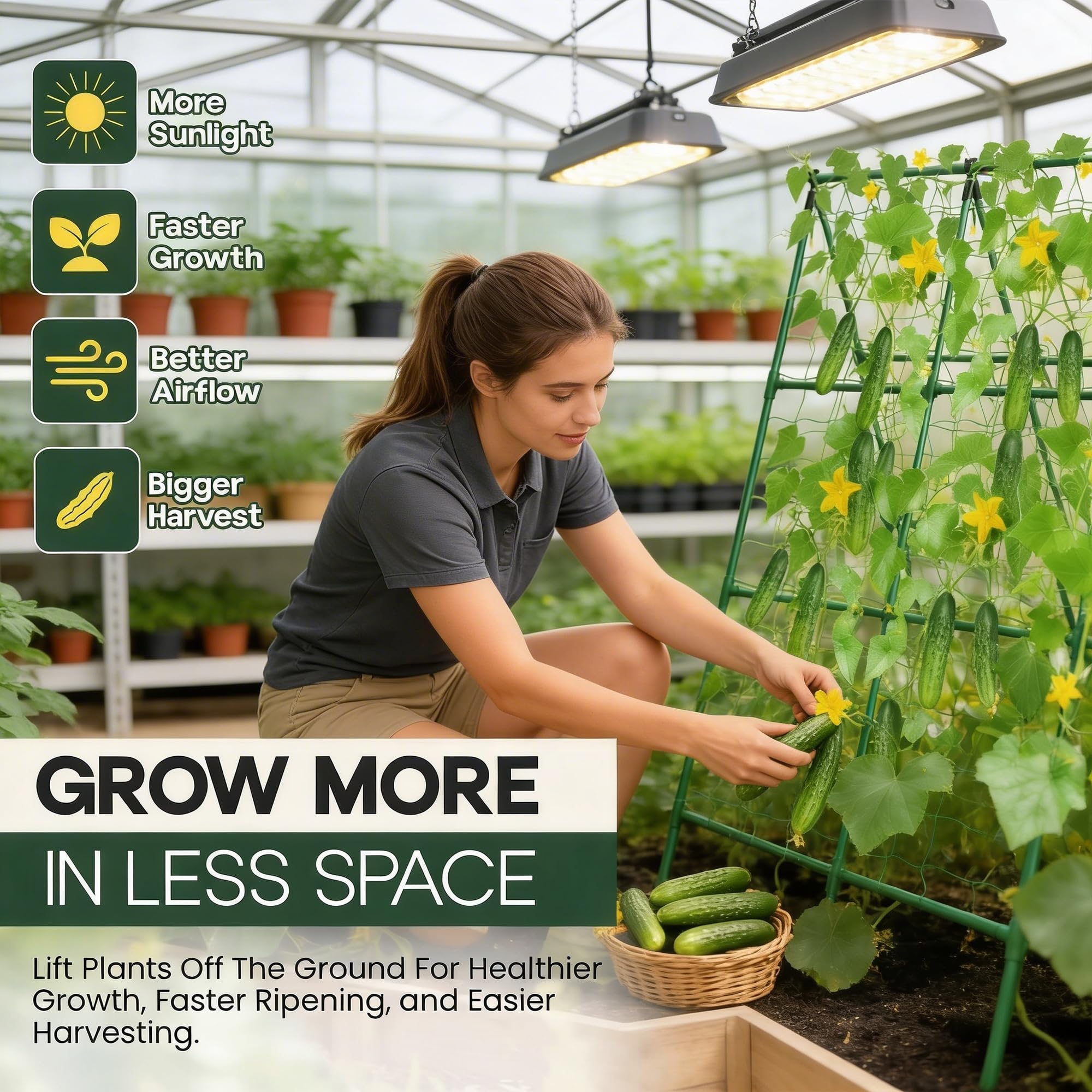 K-Brands 50x50 cucumber trellis easy-connect joints reduce setup time