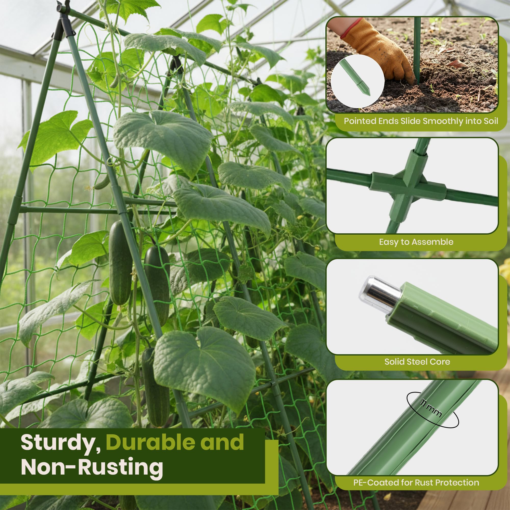 K-Brands 50x50 cucumber trellis in raised bed saves space and supports vines