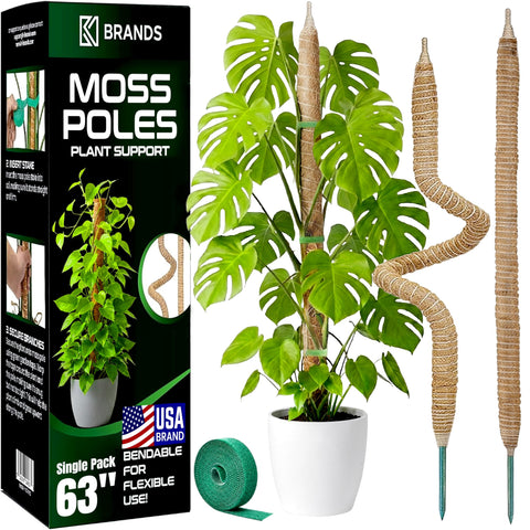 K-Brands 63-inch moss pole supports Monstera for tall, thriving climbers.