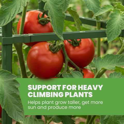 K-Brands 68-Inch tomato cage with adjustable shape clips for triangle or square layouts.