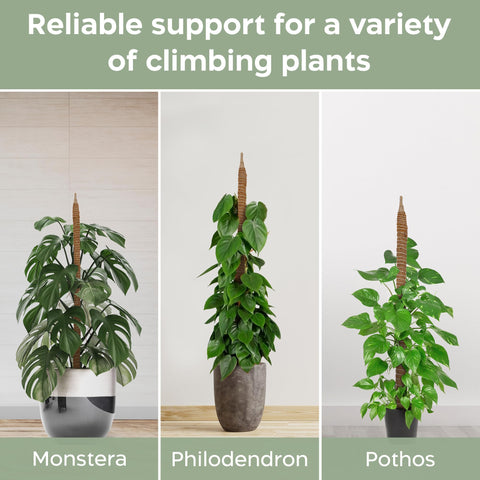 K-Brands adjustable plant ties secure climbing plants as they grow