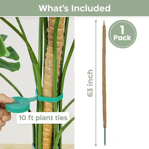K-Brands bendable moss pole suits flexible growth on climbing plants.