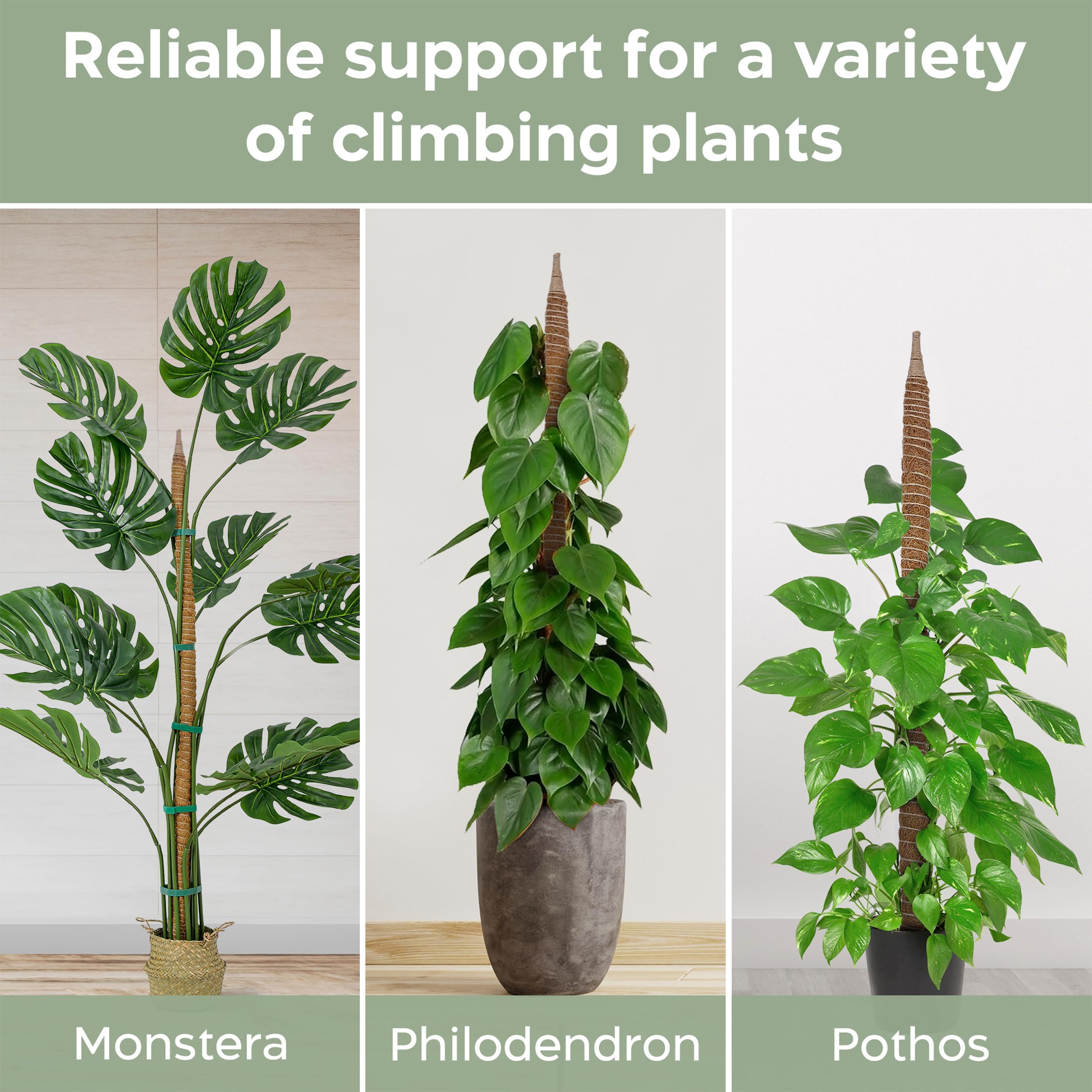 K-Brands 10 ft plant ties included to secure stems.