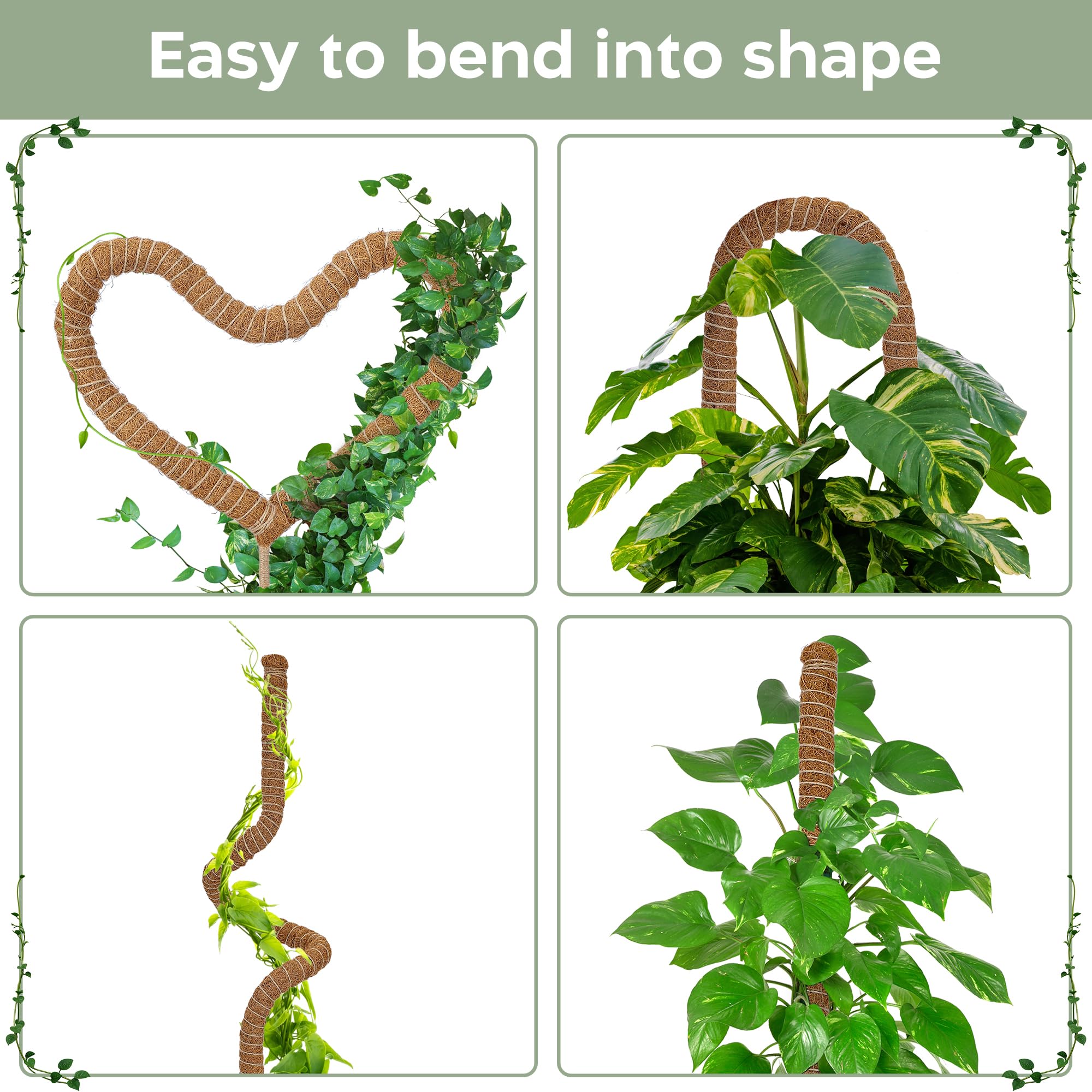K-Brands coconut coir moss pole promotes healthy plant growth