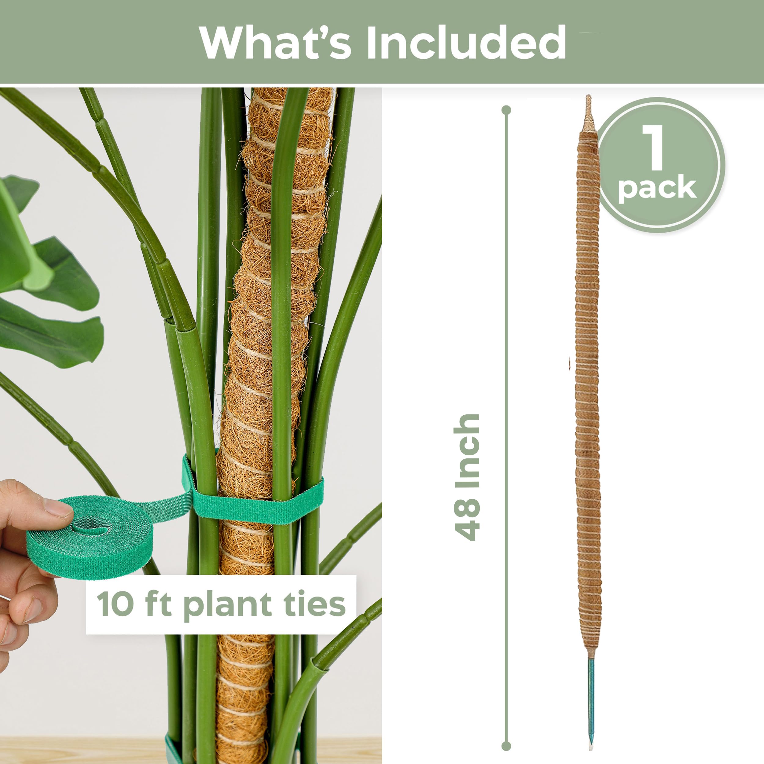 K-Brands coconut palm fiber moss pole offers breathable, clean plant support.