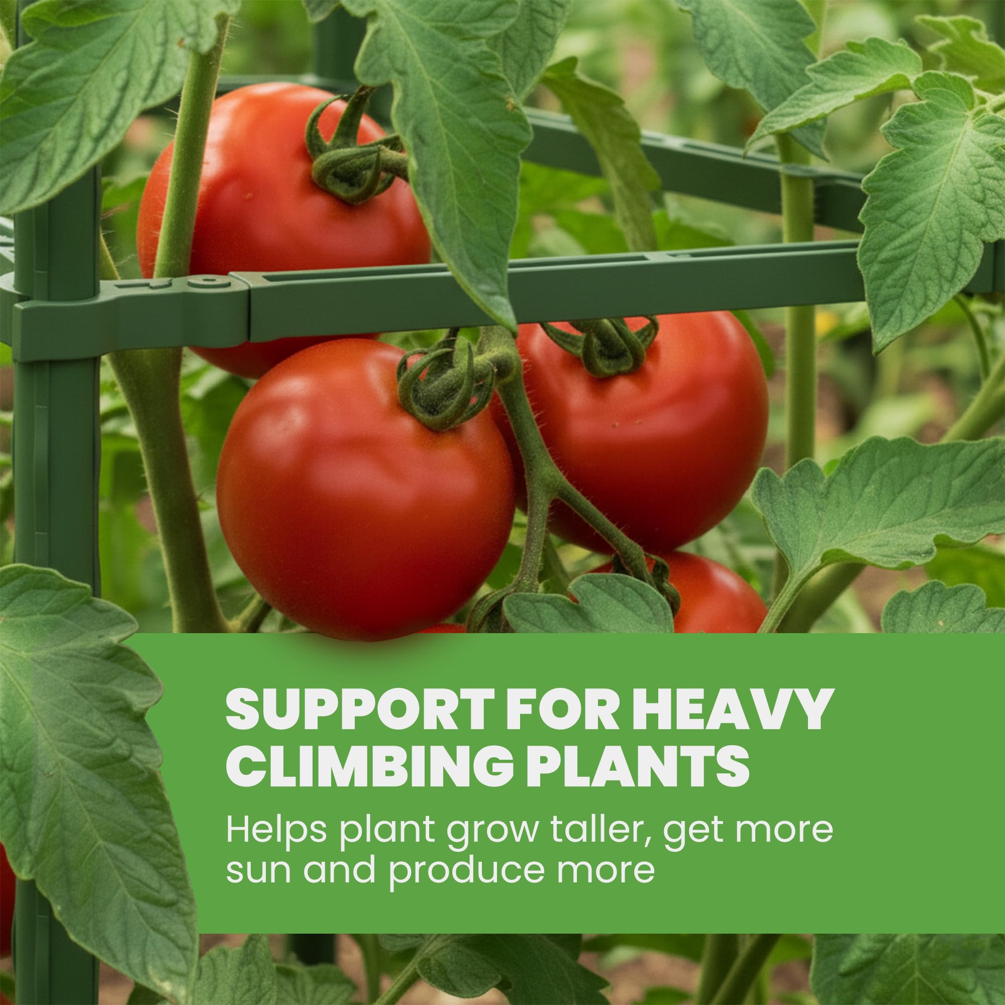 Durable plastic coating protects stems during training