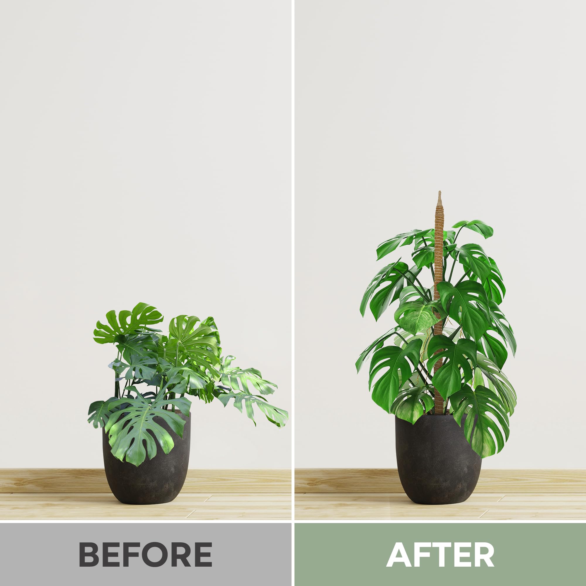 K-Brands eco-friendly trellis kit supports vertical growth