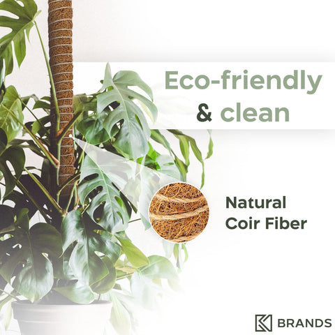 K-Brands indoor moss pole elevates vertical greenery in rooms.