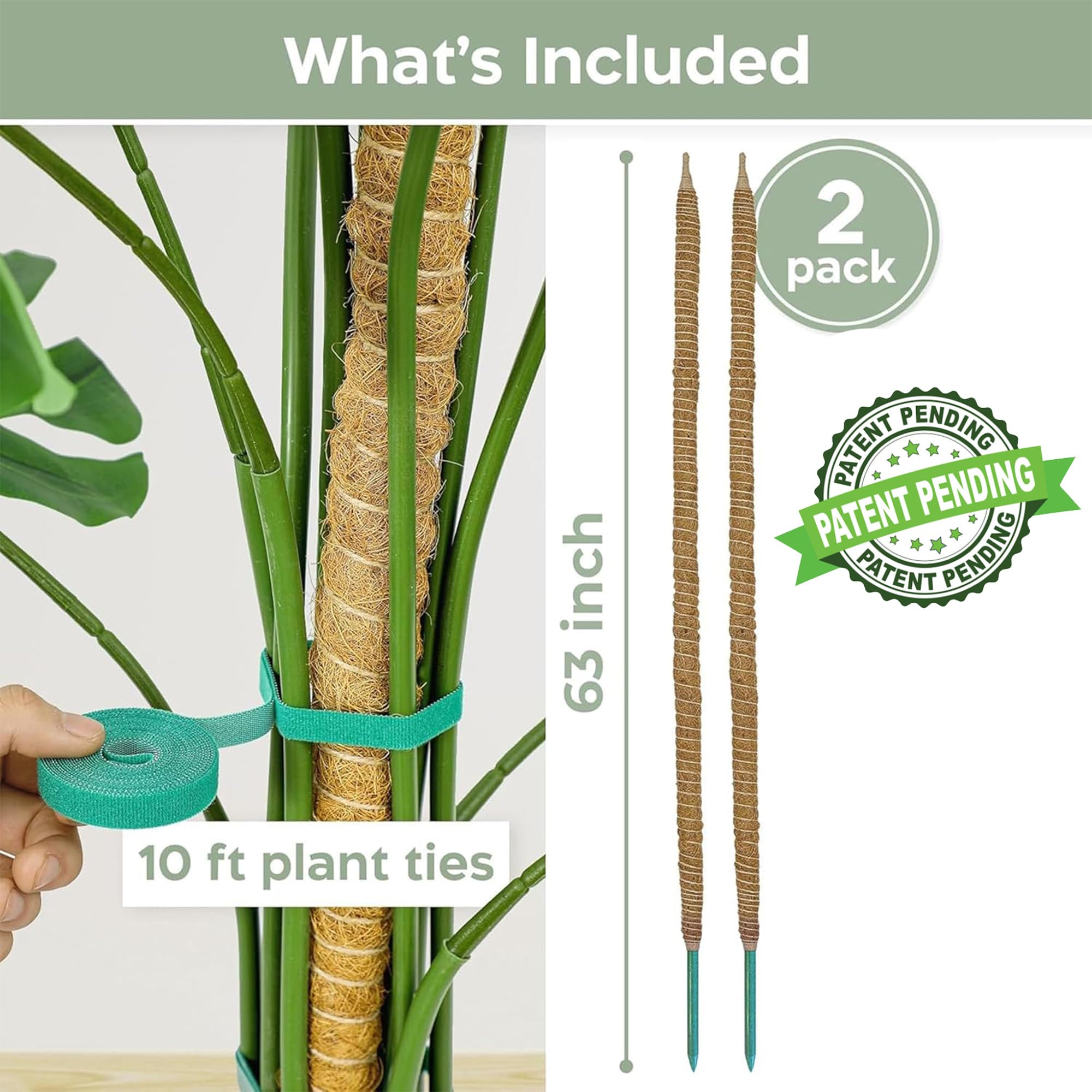 K-Brands 63-inch bendable moss pole set ready for Monstera training