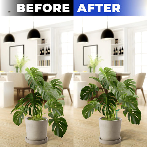 K-Brands tall plant stake seamless design in dark green blends with garden.